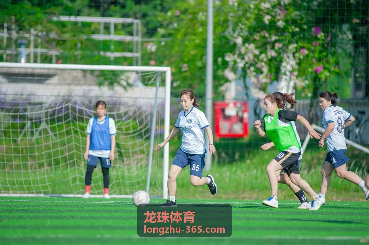 龙珠体育合作赛事联盟